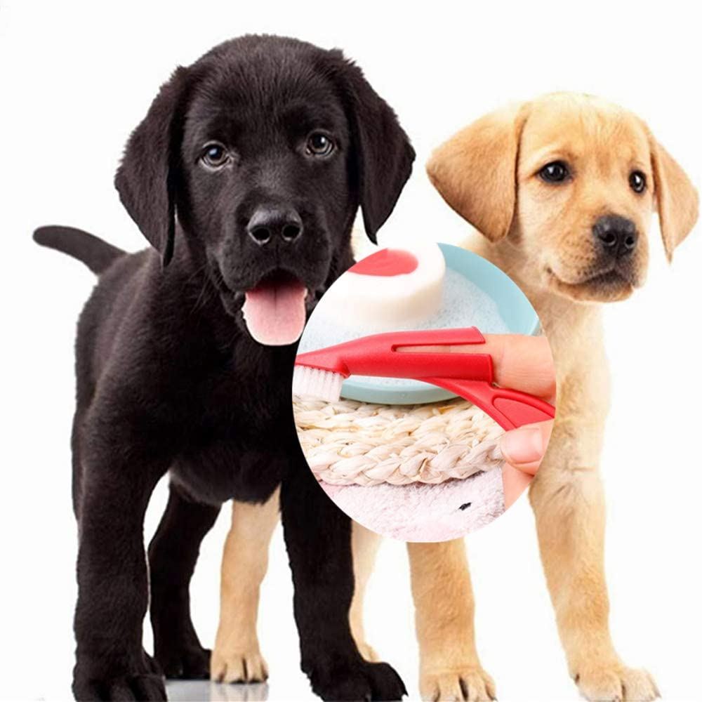 Foto 6 | Cepillos De Dientes Para Mascotas Jieyou, 10 Piezas - Venta Internacional.