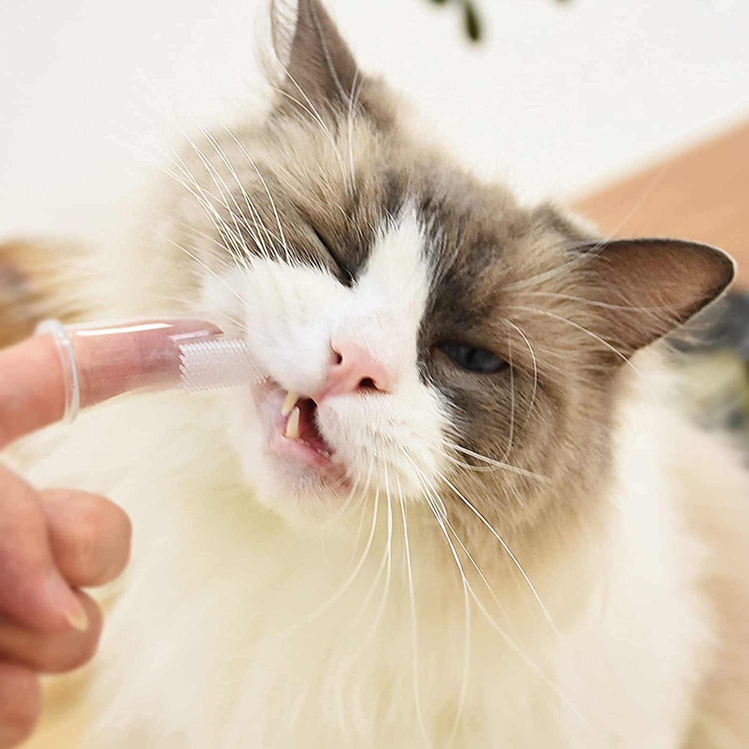 Foto 7 pulgar | Juego De Cepillos De Dientes Jieyou De 8 Piezas Para La Limpieza De Dientes De Perros Y Gatos - Venta Internacional.
