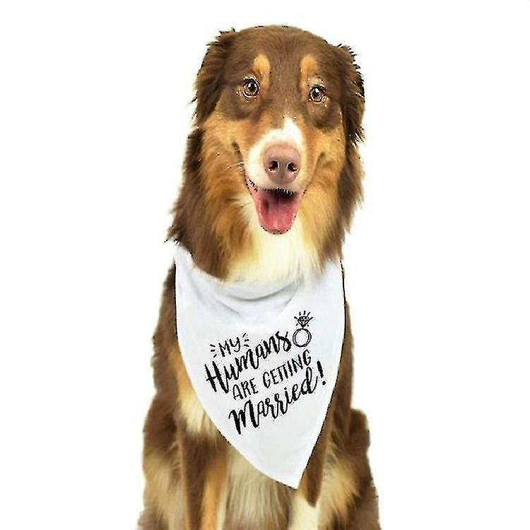 Toalla De Saliva, Jaula Para Pájaros, Baños De Pájaros, Toalla Triangular Para Mascotas - Venta Internacional.