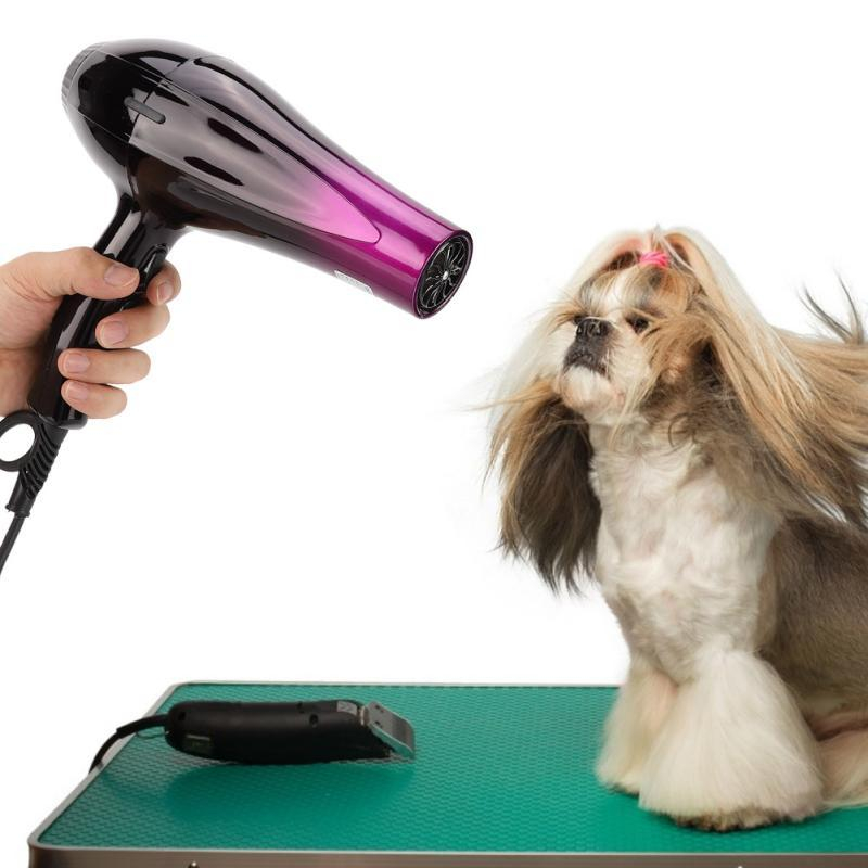 Foto 3 | Secador De Pelo Eléctrico Para Perros Y Gatos - Alta Potenci - Venta Internacional.