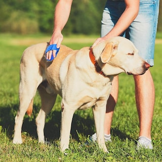Foto 5 | Paquete De 2 Cepillos De Aseo Para Mascotas, Masaje De Baño Jieyou Para Perros Y Gatos - Venta Internacional.