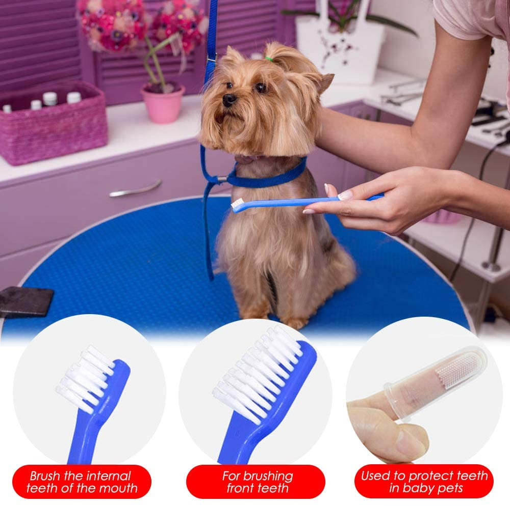 Foto 6 pulgar | Set De Cepillos De Dientes Jieyou Para La Limpieza De Dientes De Perros Y Gatos - Venta Internacional.