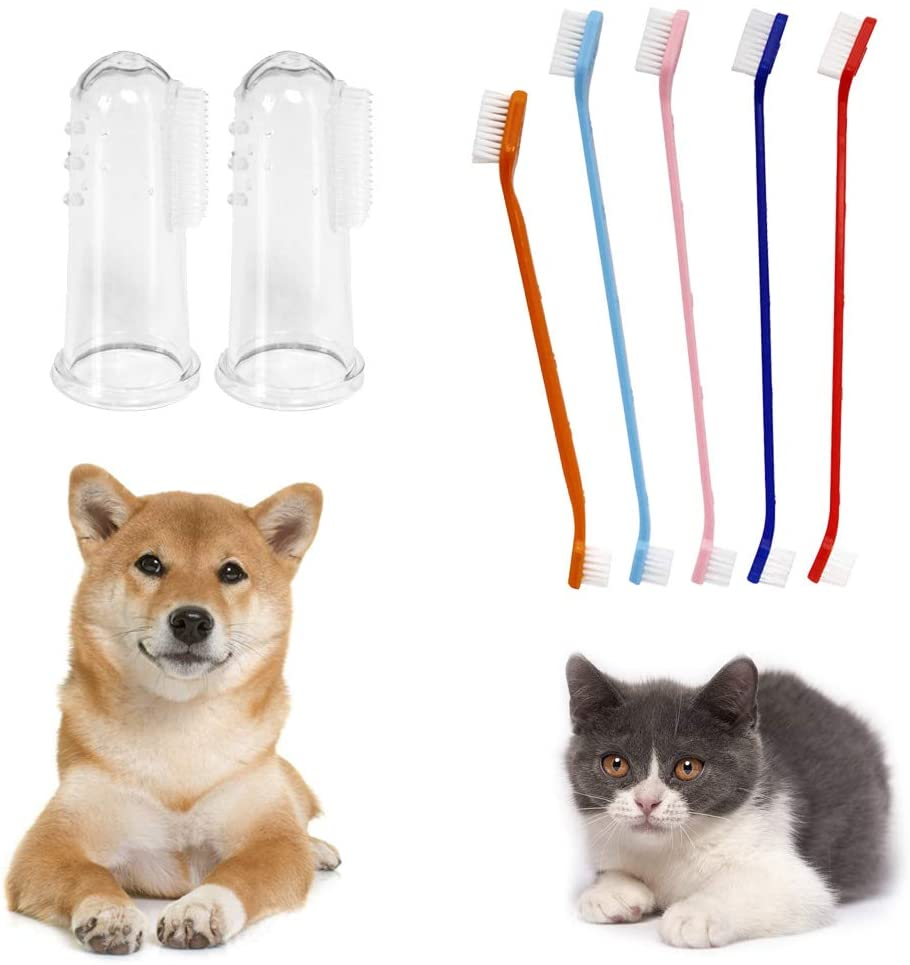 Foto 8 pulgar | Set De Cepillos De Dientes Jieyou Para La Limpieza De Dientes De Perros Y Gatos - Venta Internacional.