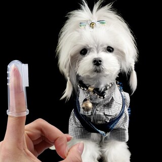 Foto 4 | Cepillo De Dientes Pet Finger, Paquete De 10 Limpiadores De Dientes De Silicona - Venta Internacional.