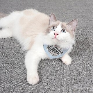 Foto 1 | Toalla De Saliva Para Mascotas Huoguo Denim Azul Talla S - Venta Internacional.