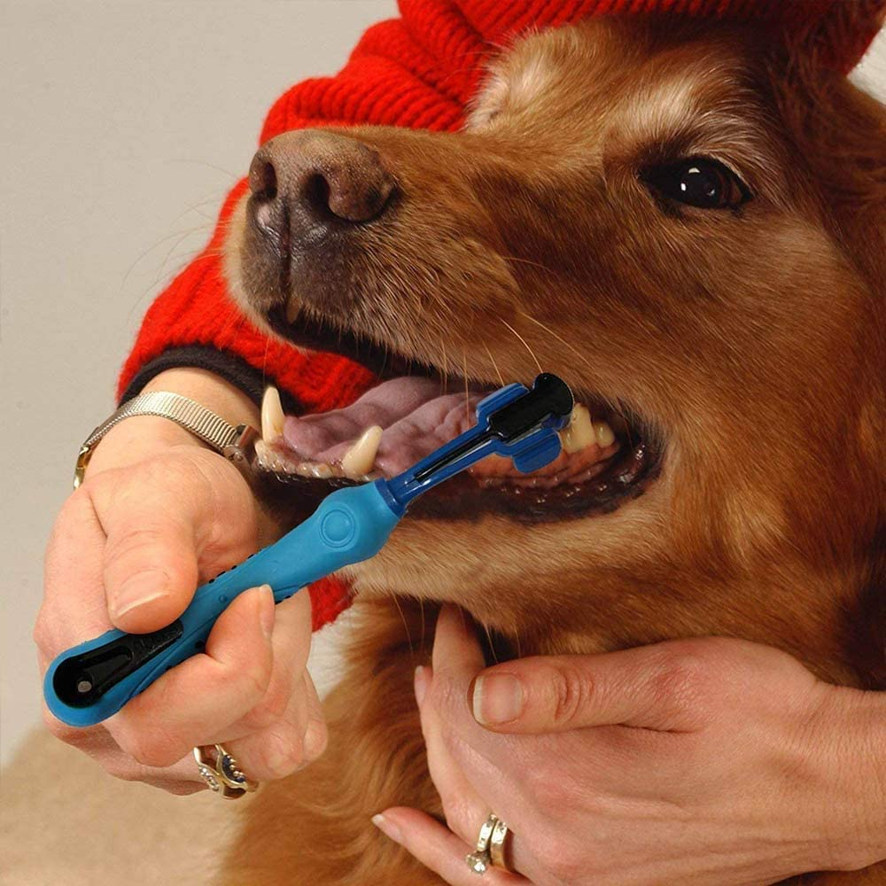 Foto 5 pulgar | Set De Cepillos De Dientes Jieyou De Caucho Natural Para Perros Y Gatos - Venta Internacional.