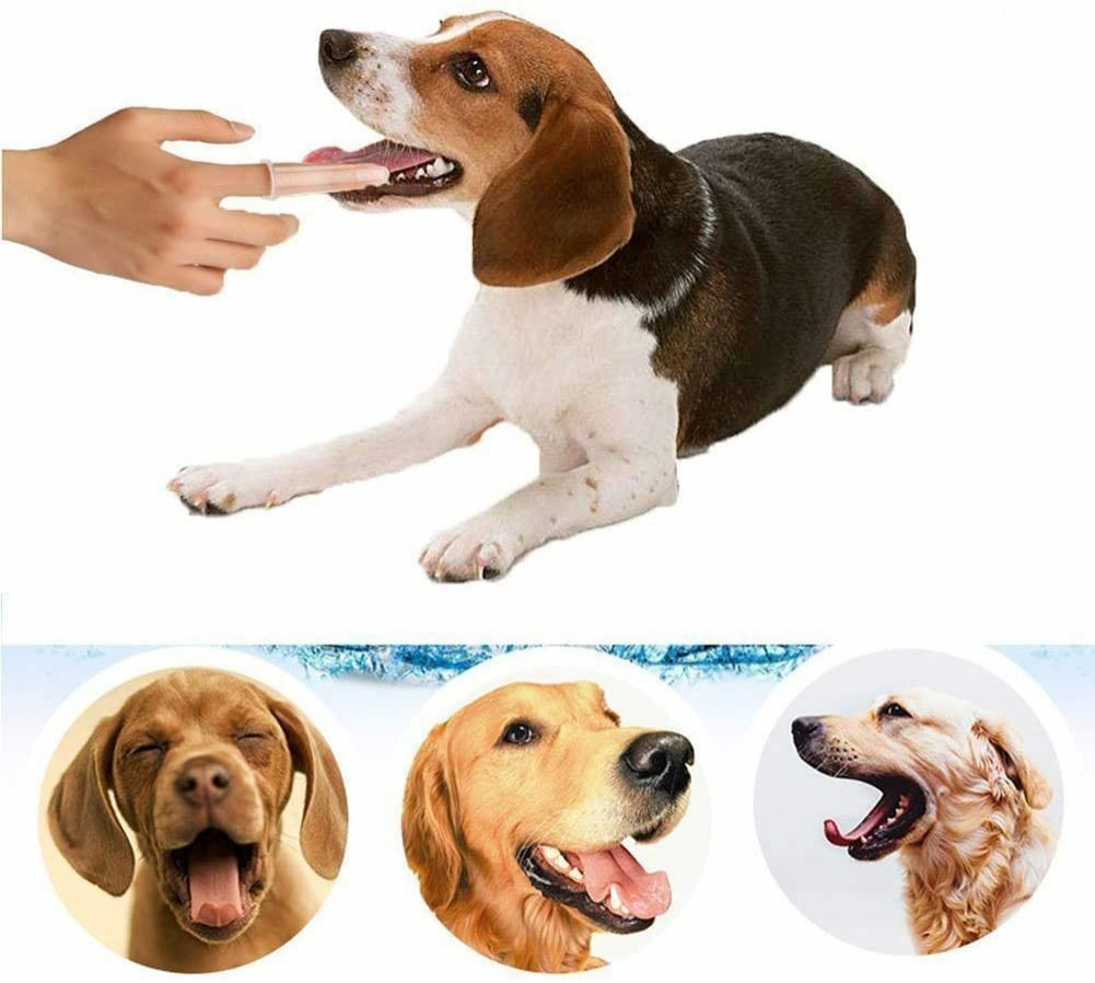 Foto 8 pulgar | Set De Cepillos De Dientes Jieyou De Caucho Natural Para Perros Y Gatos - Venta Internacional.