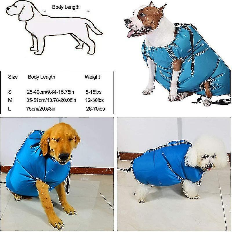 Foto 6 pulgar | Accesorios Para Secadoras De Ropa Para Perros Con Secador De Pelo Para Perros - Venta Internacional.