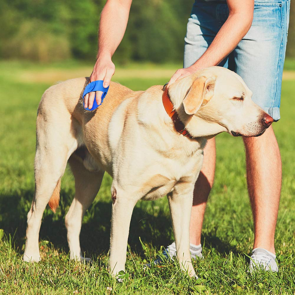 Foto 4 | Paquete De 2 Cepillos De Baño Para Mascotas Jieyou De Silicona Para Perros Y Gatos - Venta Internacional.