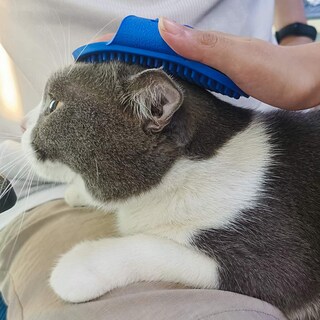 Foto 5 | Paquete De 2 Cepillos De Baño Para Mascotas Jieyou De Silicona Para Perros Y Gatos - Venta Internacional.