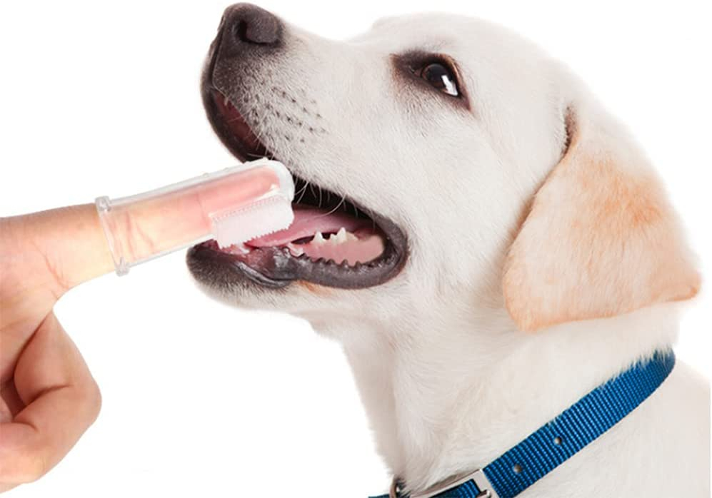 Foto 7 pulgar | Juego De Cepillos De Dientes Jieyou De 11 Piezas Para Perros Con Cepillo De Dientes Para Dedos - Venta Internacional.