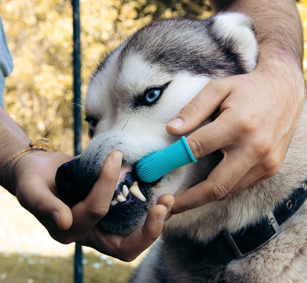 Foto 4 pulgar | Cepillo De Dientes Para Perros Jieyou Silicone 360 Grados Azul, 2 Piezas - Venta Internacional.