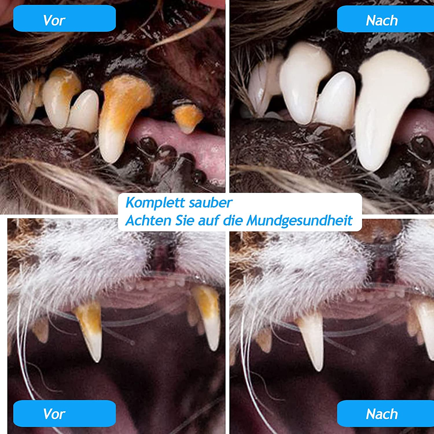 Foto 6 pulgar | Cepillo De Dientes Jieyou De Silicona De 360 Grados Para Perros Y Gatos (4 Unidades) - Venta Internacional.