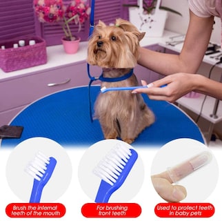 Foto 5 | Juego De Cepillos De Dientes Jieyou Para Revestimiento De Dientes De Perros Y Gatos (15 Piezas) - Venta Internacional.
