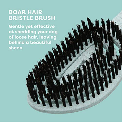 Foto 6 | Cepillo Para Perros Biosilk Ecológico Con Cerdas De Pelo De Jabalí, Color Verde Menta - Venta Internacional.