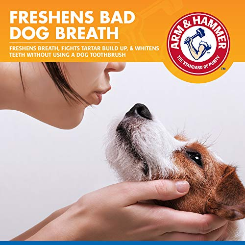 Foto 5 pulgar | Pulverizador Dental Con Brazo Y Martillo Para Mascotas Y Perros Que Controlan El Sarro, 120 Ml - Venta Internacional.