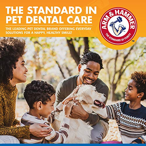 Foto 7 pulgar | Pulverizador Dental Con Brazo Y Martillo Para Mascotas Y Perros Que Controlan El Sarro, 120 Ml - Venta Internacional.