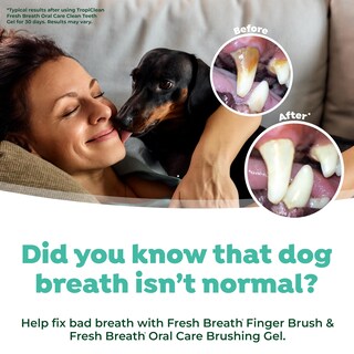 Foto 4 | Set De Cepillos De Dientes Tropiclean Fresh Breath Para Perros - Venta Internacional.
