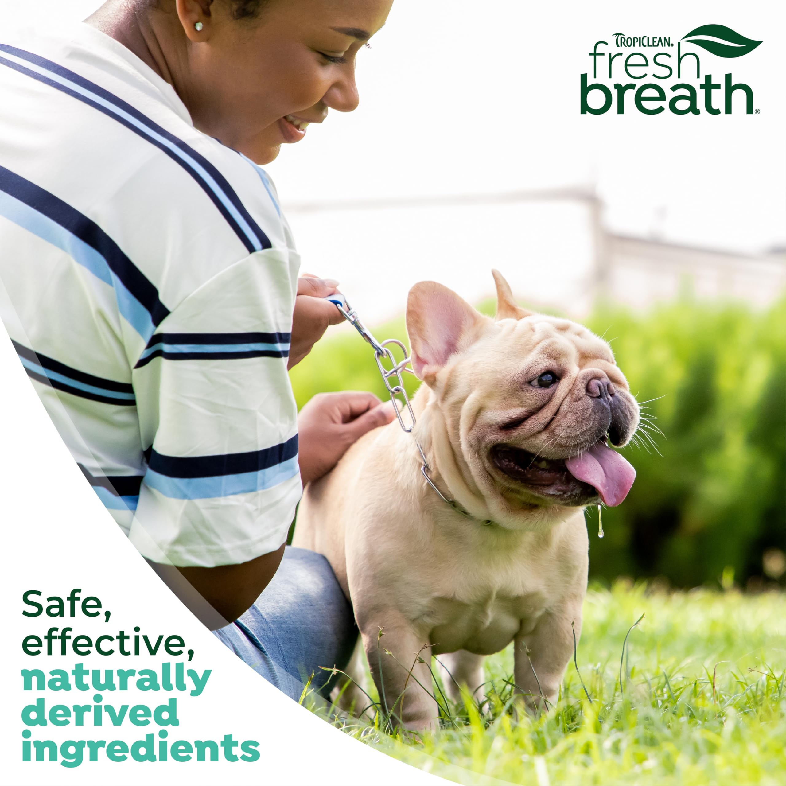 Foto 7 pulgar | Set De Cepillos De Dientes Tropiclean Fresh Breath Para Perros - Venta Internacional.