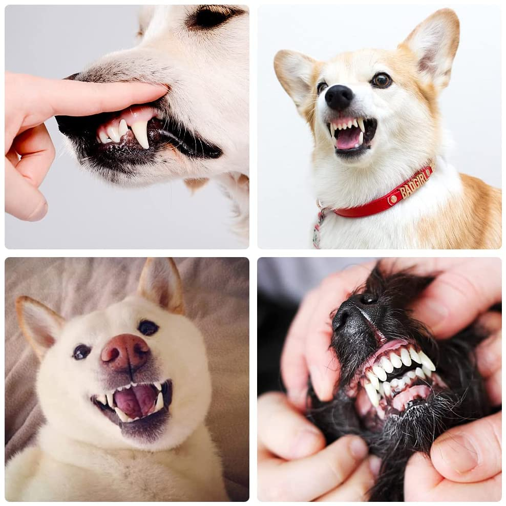 Foto 5 pulgar | Set De Cepillos De Dientes Jieyou Fingerlings 360° Para Perro Y Gato - Venta Internacional.