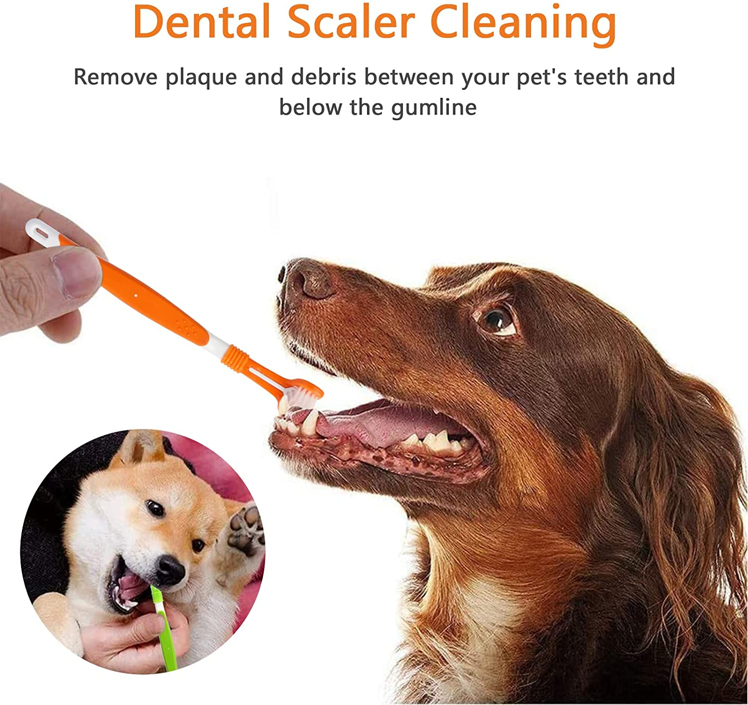 Foto 5 pulgar | Cepillo De Dientes Para Perros, 6 Piezas, Cepillo De Dientes Para Mascotas, Cepillo De Dientes Para  - Venta Internac