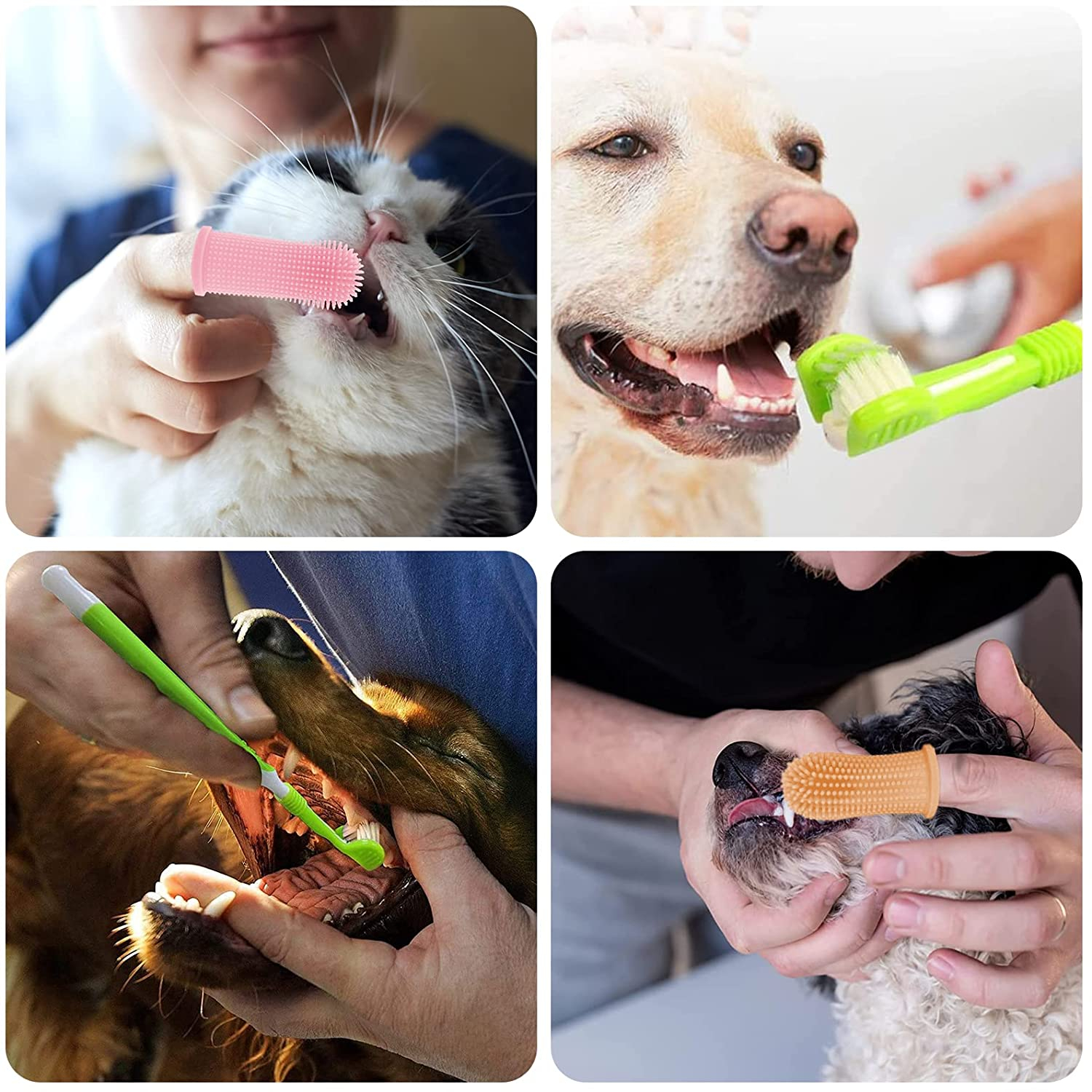 Foto 8 pulgar | Cepillo De Dientes Para Perros, 6 Piezas, Cepillo De Dientes Para Mascotas, Cepillo De Dientes Para  - Venta Internac