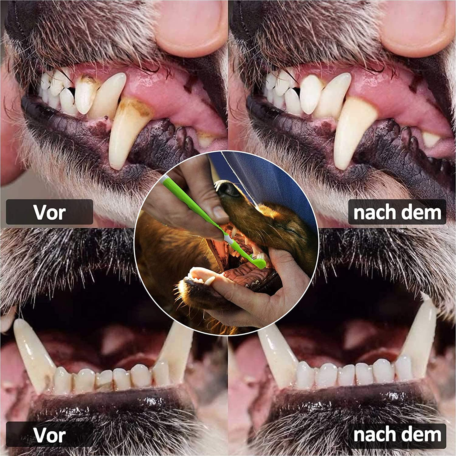Foto 5 pulgar | Set De Cepillos De Dientes Jieyou Para Perros Y Mascotas (7 Piezas) - Venta Internacional.