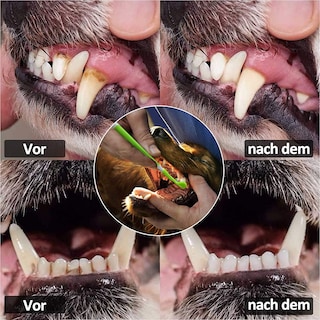Foto 4 | Set De Cepillos De Dientes Jieyou Para Perros Y Mascotas (7 Piezas) - Venta Internacional.