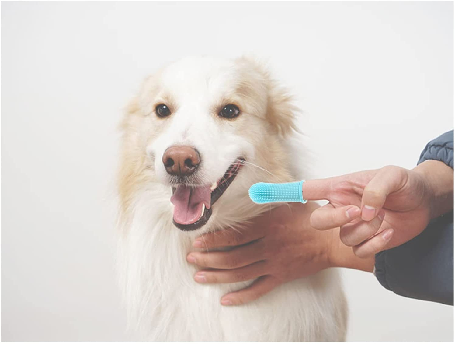 Foto 5 pulgar | Juego De Cepillos De Dientes Para Perros Jieyou, Cepillo De Dientes De 4 Dedos Para Perros Y Gatos - Venta Internaciona