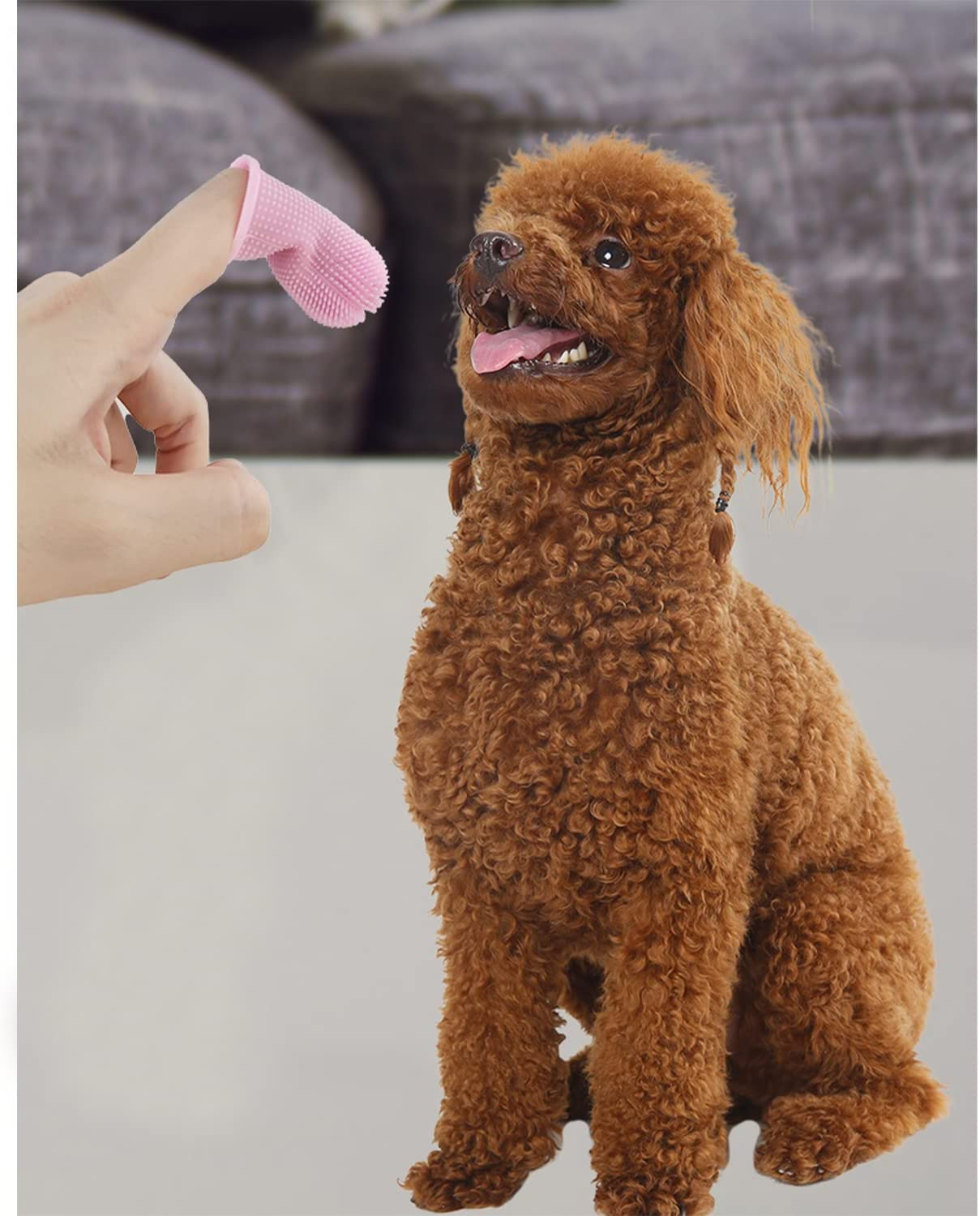 Foto 5 | Juego De Cepillos De Dientes Para Perros Jieyou, Cepillo De Dientes De 4 Dedos Para Perros Y Gatos - Venta Internaciona
