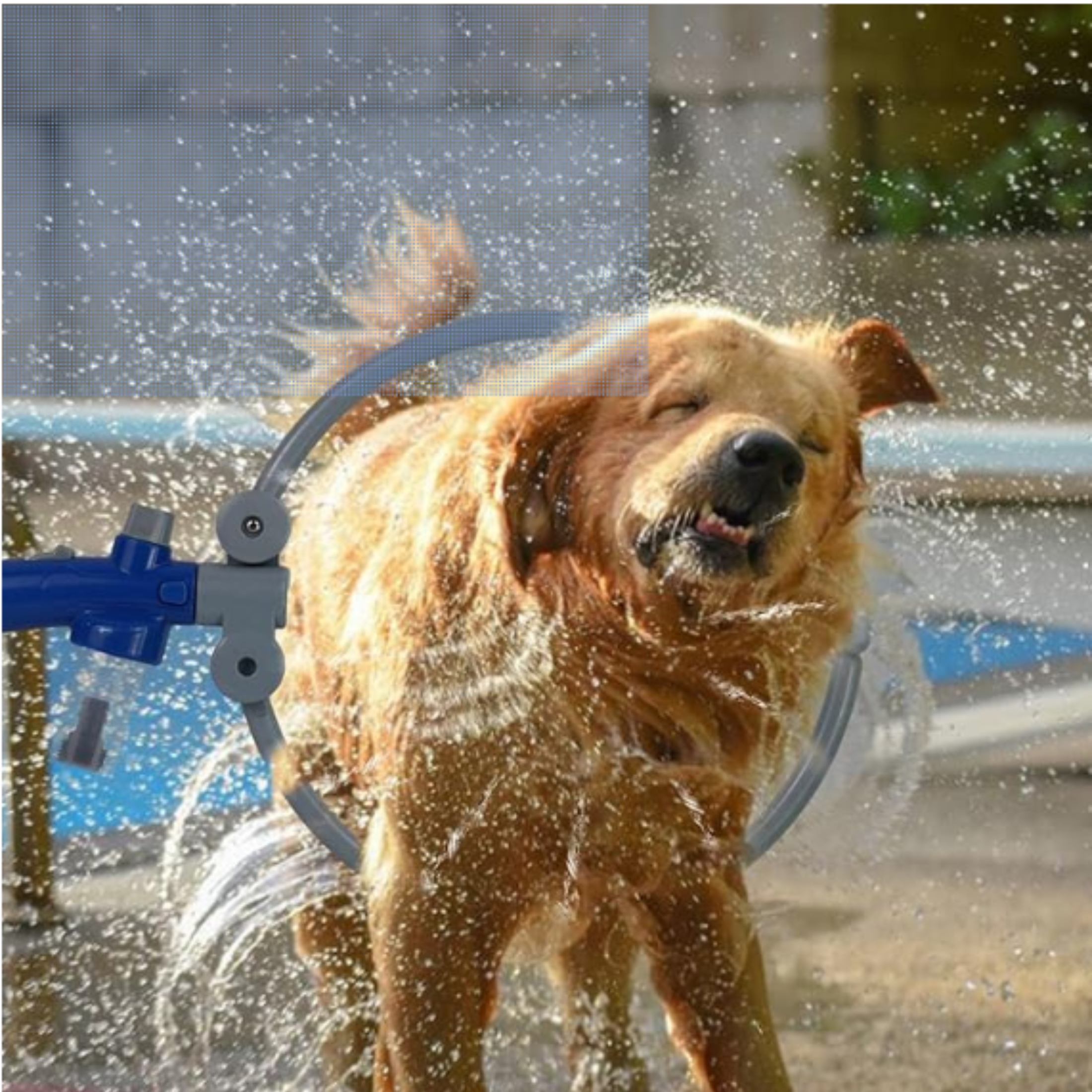 Regadera Para Perro Lava Fácil