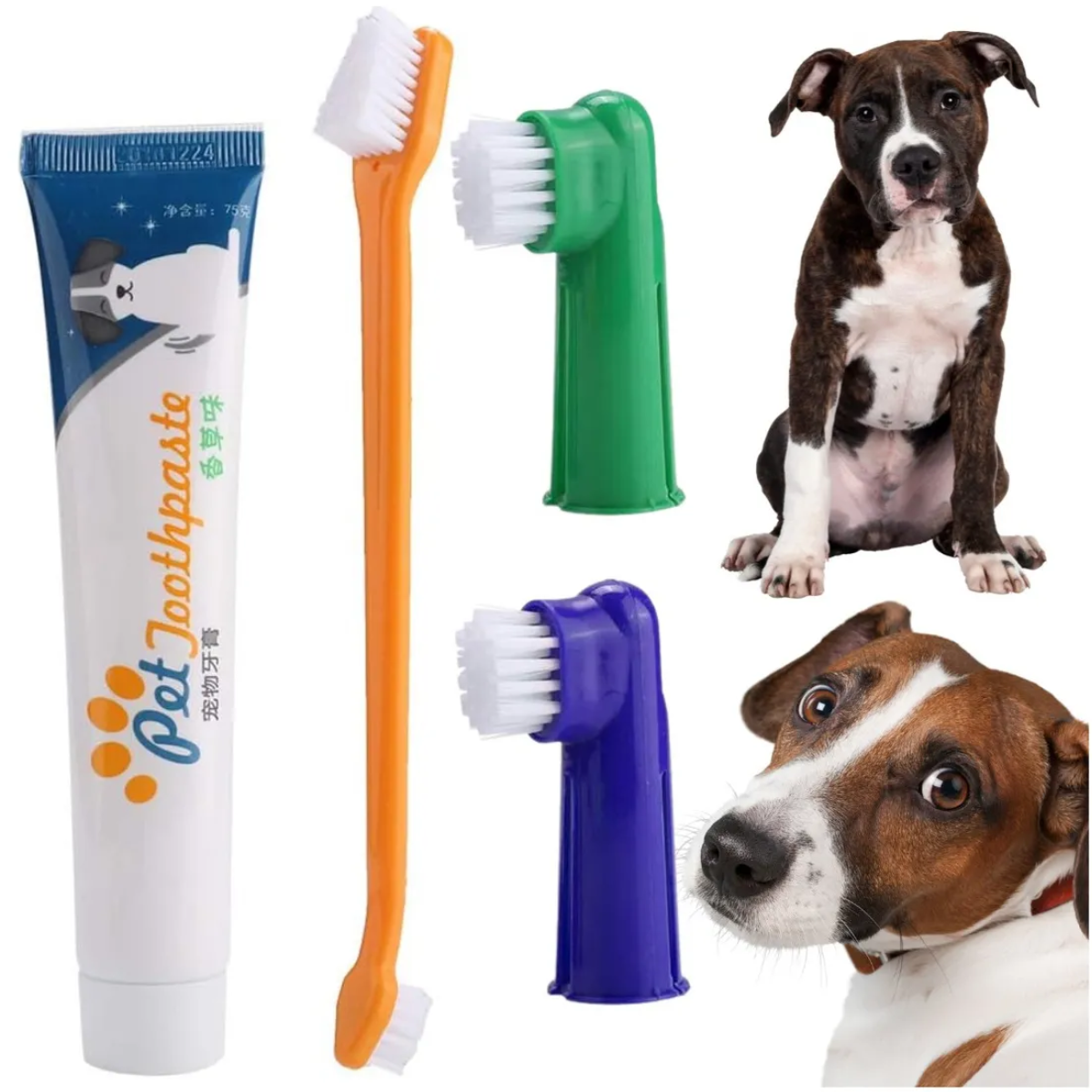 Kit Pasta Dientes Mascotas Cepillo Suave Cuidado Bucal