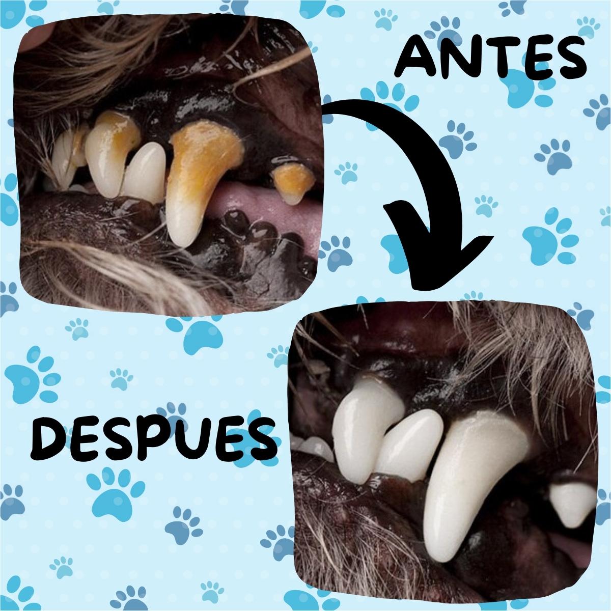 Foto 7 pulgar | Kit Pasta Dientes Mascotas Cepillo Suave Cuidado Bucal