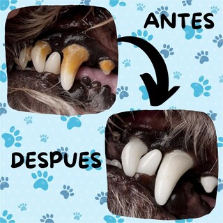 Foto 6 | Kit Pasta Dientes Mascotas Cepillo Suave Cuidado Bucal