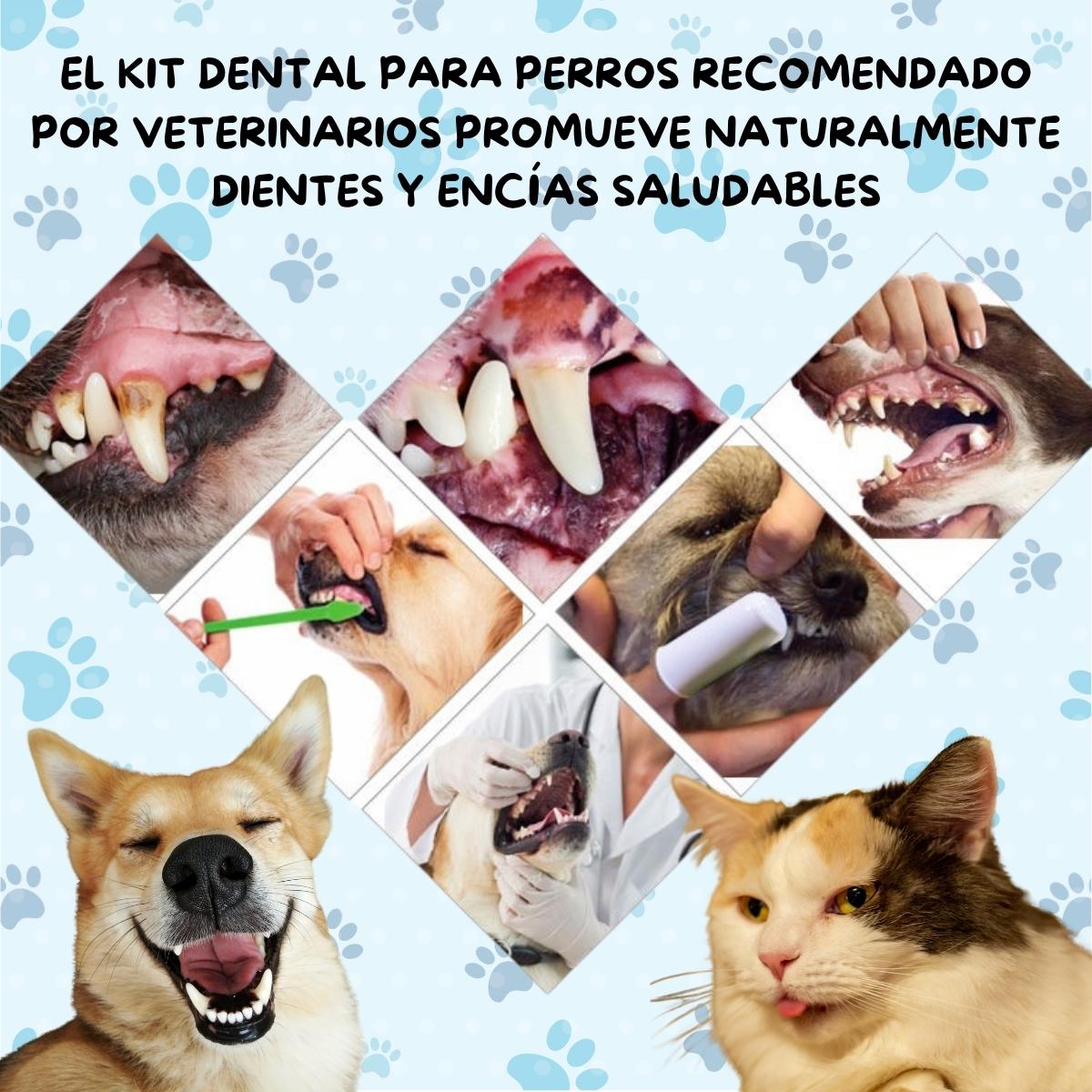 Foto 8 pulgar | Kit Pasta Dientes Mascotas Cepillo Suave Cuidado Bucal