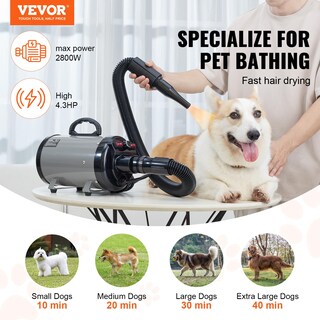Foto 2 | Secador para Perros Vevor 2800w/4.3 Hp - Venta Internacional