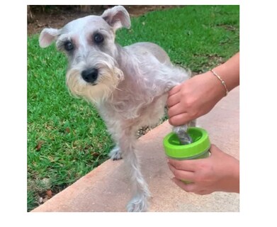 Foto 4 | Limpiador De Patas Mascota Perro Gato Spft Gentle