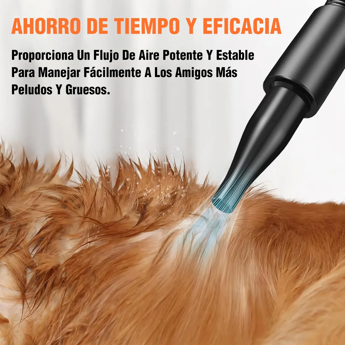 Foto 3 pulgar | Secadora Para Perros Mascotas 2800w Negro 127v Eo Safe Imports Esi-20246 Negro