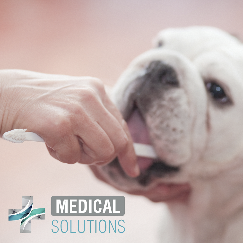 Foto 4 | Medical Solutions Kit Dental Antisarro Con Pasta Y Cepillo Para Perro De 90 Gramos
