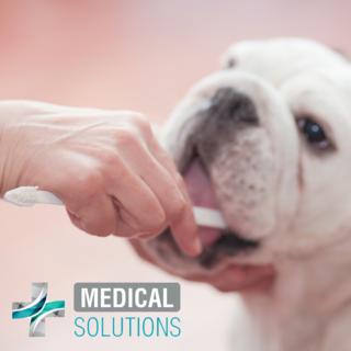 Foto 4 | Medical Solutions Kit Dental Antisarro Con Pasta Y Cepillo Para Perro De 90 Gramos