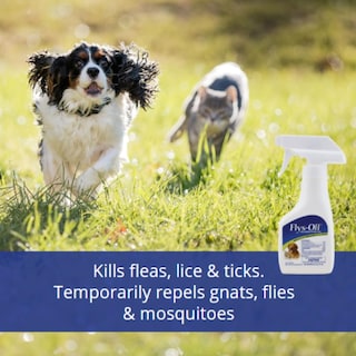 Foto 2 | Repelente De Insectos Farnam Flys-off Para Perros Y Gatos, 180 Ml - Venta Internacional.