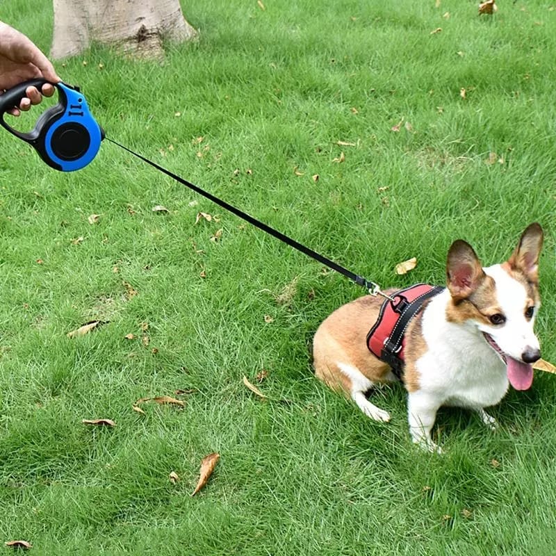 Foto 6 | Kit Para Mascota Correa Y Rasuradora De Regalo 1 Dispensador De Alimentos