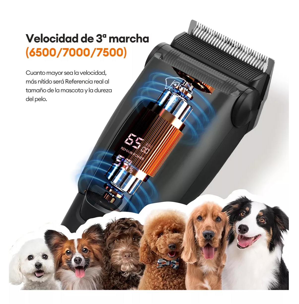 Foto 4 pulgar | Maquina Para Cortar Pelo De Perro Rasuradora Recargable, Negro