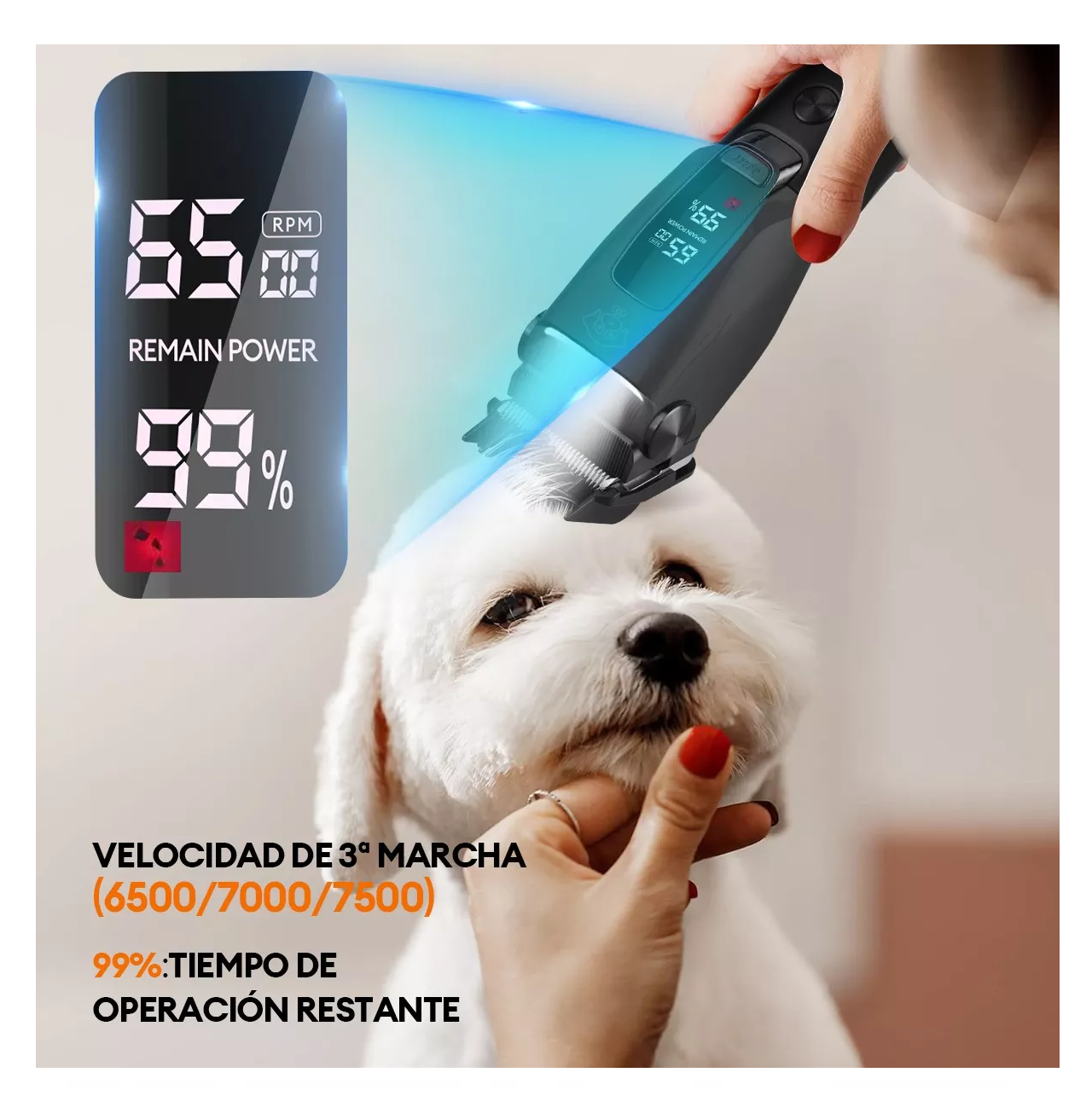 Foto 5 pulgar | Maquina Para Cortar Pelo De Perro Rasuradora Recargable, Negro