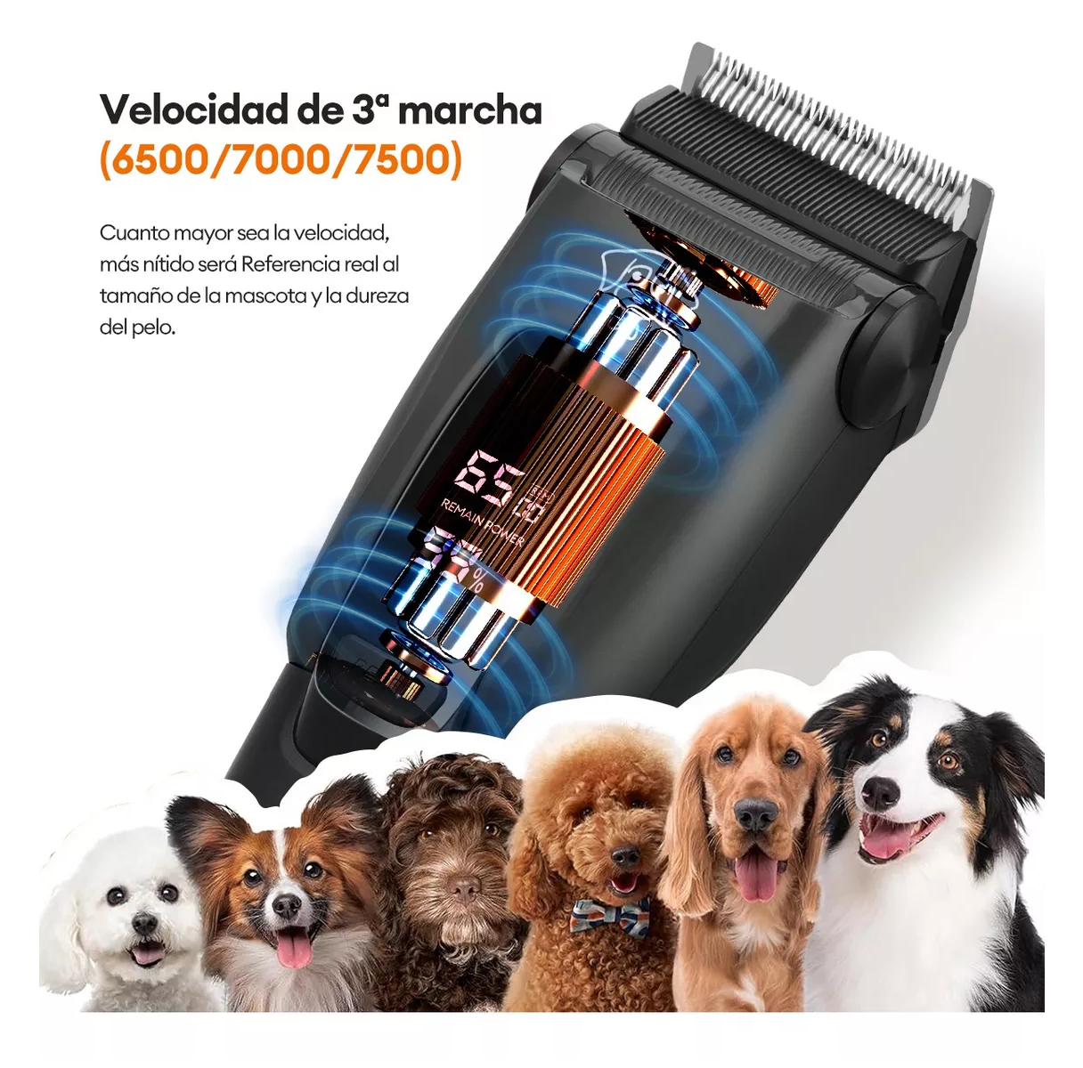 Foto 4 pulgar | Rasuradora Belug Portátil para Mascota