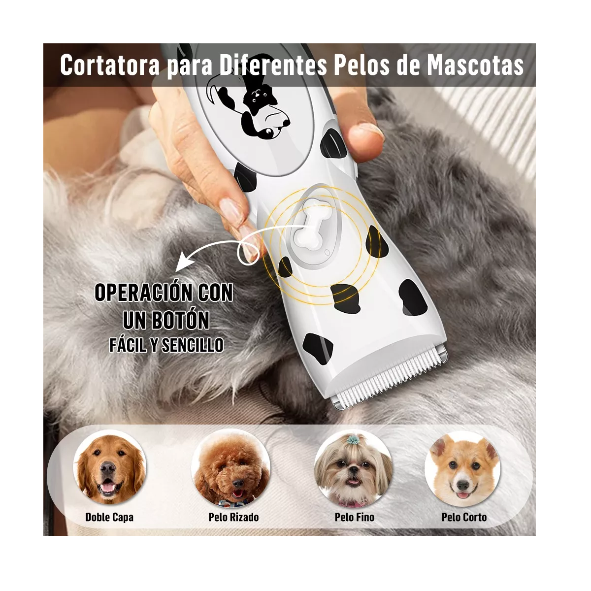Foto 3 pulgar | Máquina Rasuradora para Mascota Eo Safe Imports ESI-8402-1 Blanco 5 Piezas