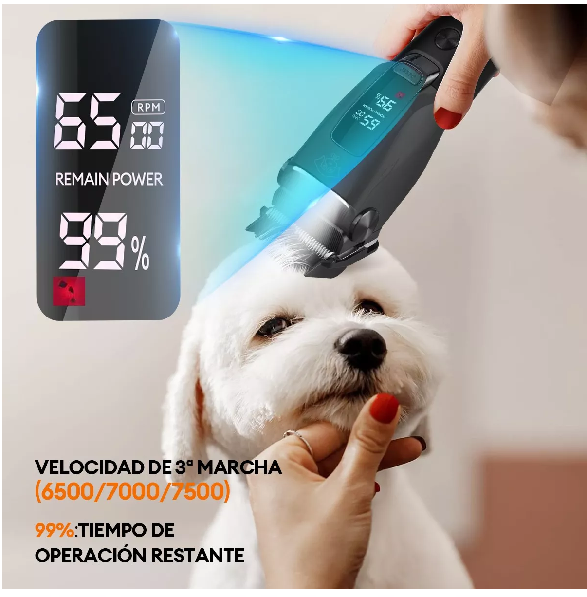 Foto 4 pulgar | Maquina Para Cortar Pelo De Perro Lab.g Rasuradora Recargable, Negro