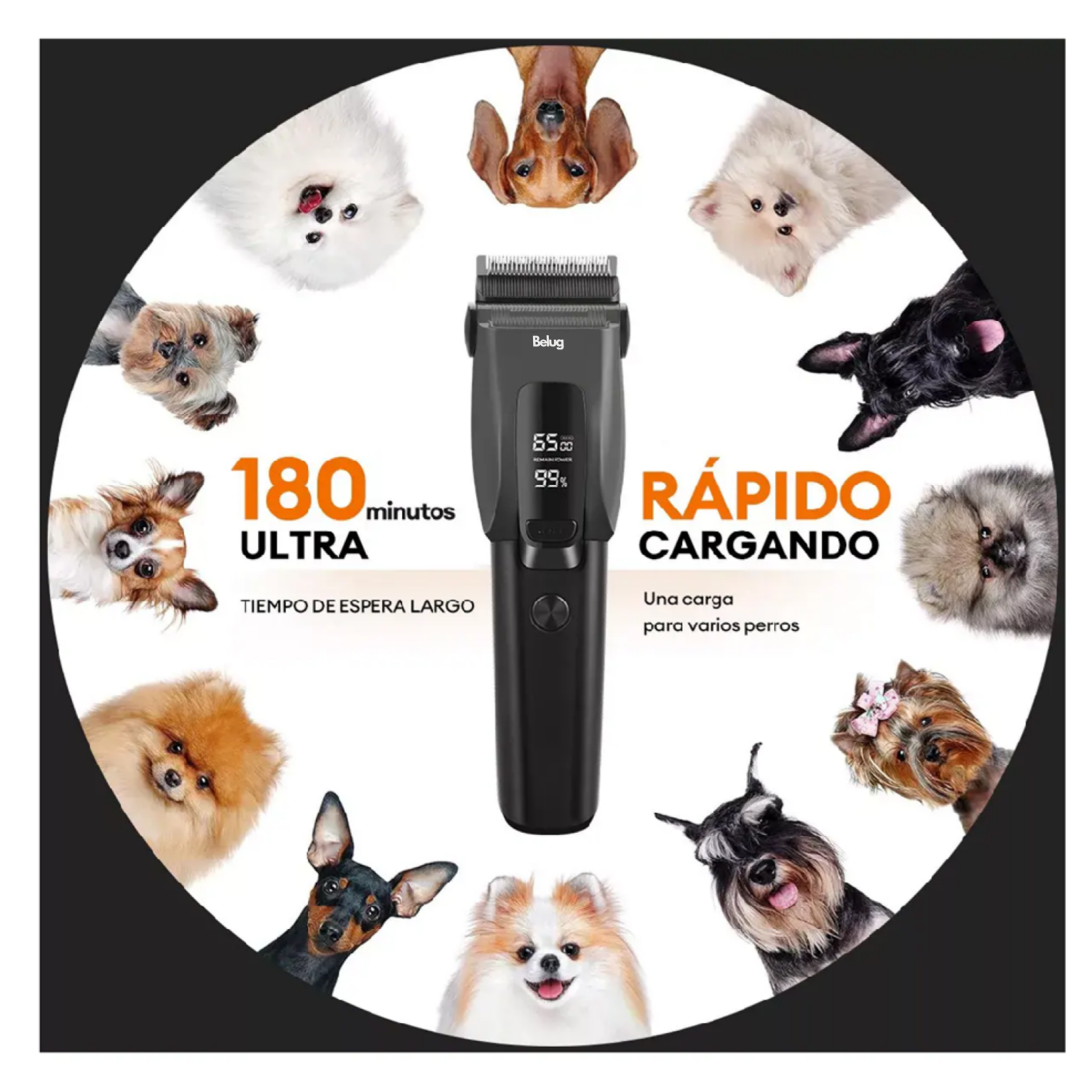 Foto 3 pulgar | Maquina Para Cortar Pelo De Perro Rasuradora Recargable Belug Negro