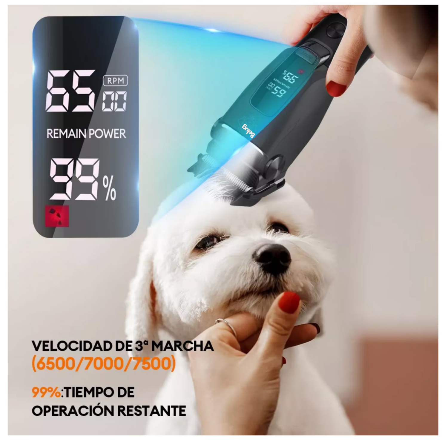 Foto 5 | Maquina Para Cortar Pelo De Perro Rasuradora Recargable Belug Negro