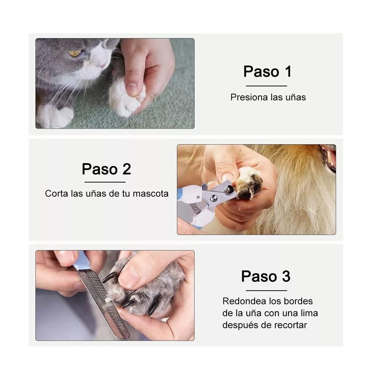 Foto 4 pulgar | Kit Limpieza Mascotas Cepillo y Limas Cortar Uñas Eo Safe Imports Esi-8836 Gris